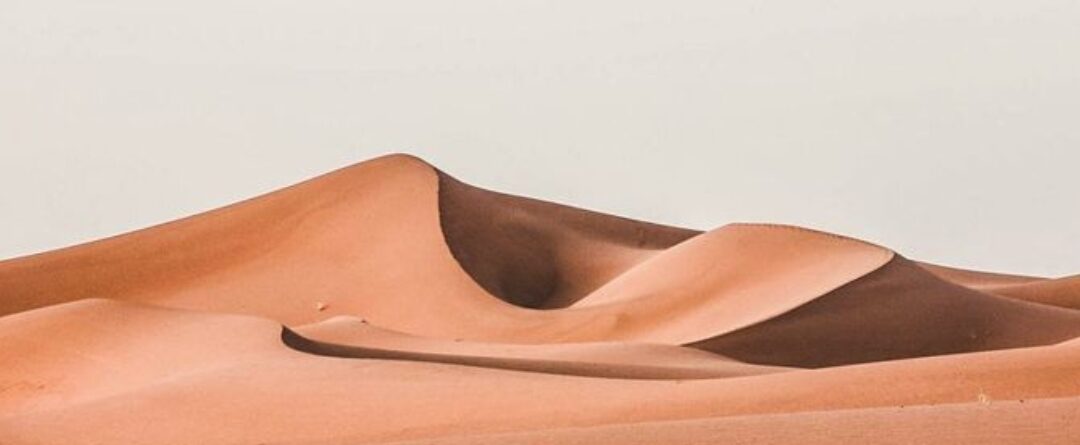 rallye aïcha des gazelles 2026