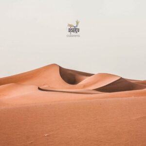 rallye aïcha des gazelles 2026