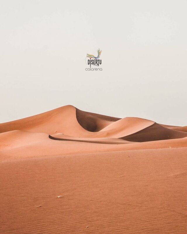 rallye aïcha des gazelles 2026